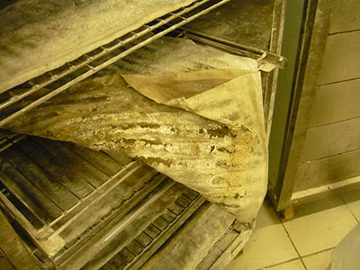 Антисанитария на хлебобулочном производстве и как с ней бороться.